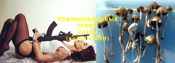 синтетический гашиш Бородино