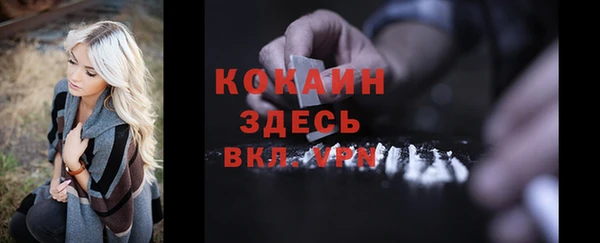 гашик Бронницы