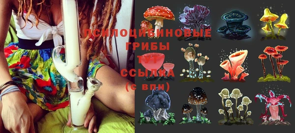 гашик Бронницы