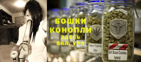 гашик Бронницы