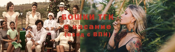 гашик Бронницы