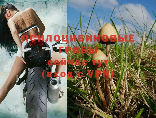 гашик Бронницы