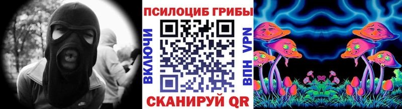 Псилоцибиновые грибы мицелий  Владимир 