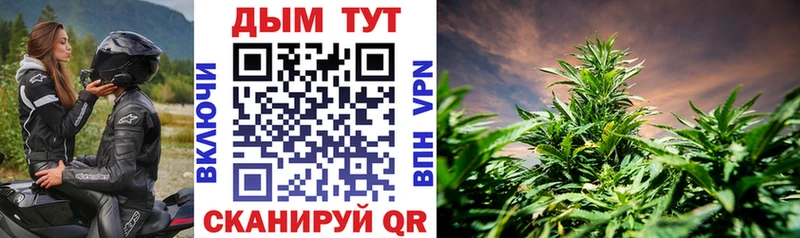 мега tor  даркнет сайт  Владимир  Марихуана OG Kush 